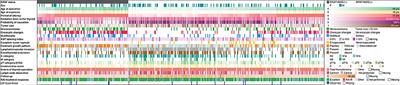 Clinicopathological Implications of the BRAFV600E Mutation in Papillary Thyroid Carcinoma of Ukrainian Patients Exposed to the Chernobyl Radiation in Childhood: A Study for 30 Years After the Accident